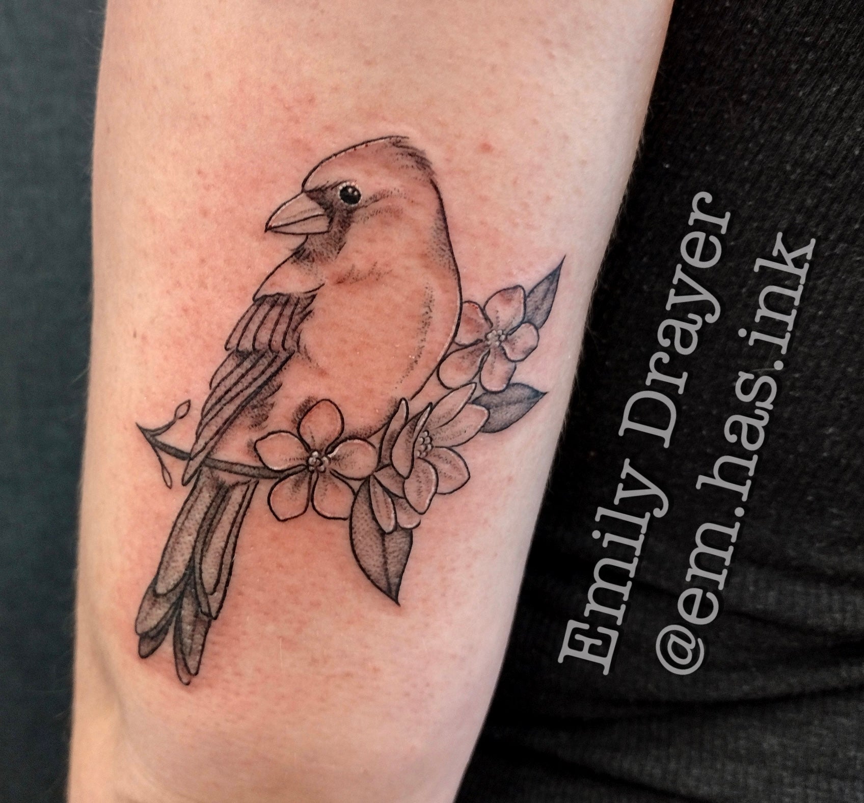 Bird Tattoo on Shoulder - Best Tattoo Ideas Gallery